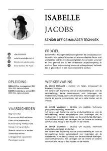 CV voorbeeld 13, elegant en simpel CV voorbeeld in Word. Snel en eenvoudig je CV maken met behulp van onze sjablonen. 