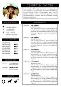 CV Voorbeeld 29, maak je CV met behulp van onze gratis templates en tips. Ga direct aan de slag en maak je CV in een handomdraai!