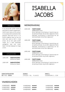 CV voorbeeld 30, gratis templates in Word, ga direct aan de slag en maak je CV in een handomdraai!