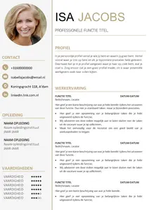 CV voorbeeld 32, elegant en minimalistisch CV template in Word. Bekijk onze 100% gratis CV voorbeelden en ga direct aan de slag. 