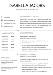 cv voorbeeld zakelijke templates | download de (gratis) cv templates en ga direct aan de slag | update je cv in een handomdraai