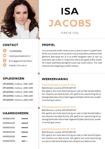 CV Voorbeeld 36, de mooiste gratis CV templates, maak eenvoudig en snel je CV met de mooiste ontwerpen. 