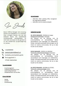 CV voorbeeld 8, elegant, zakelijk en simpel voorbeeld CV template in Microsoft Word. 