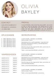 CV voorbeeld Word 8, gratis voorbeeld templates in Microsoft Word.
