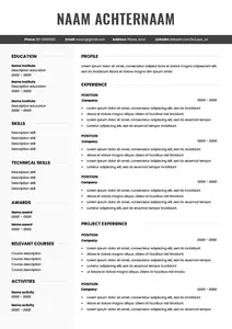 CV Voorbeeld Engels 3 | Eenvoudig je CV maken | Gratis Templates in Word | Tips voor een Perfect CV | Update je CV in een Handomdraai | TopVoorbeelden.com