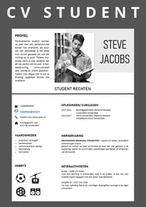 CV voorbeeld design | download de (gratis) cv templates en ga direct aan de slag | update je cv in een handomdraai