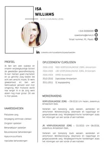 gratis voorbeeld CV's, ruim 50 gratis voorbeeld CV's, eenvoudig te bewerken, gratis download in Word. 