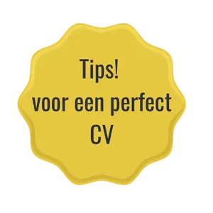 CV voorbeeld gratis templates | 45 (gratis) templates | update je cv snel en eenvoudig met onze gratis cv voorbeeld templates.  