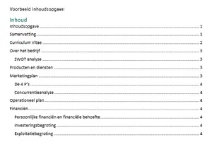 Format ondernemingsplan, bekijk en download het gratis voorbeeld van een ondernemingsplan. 