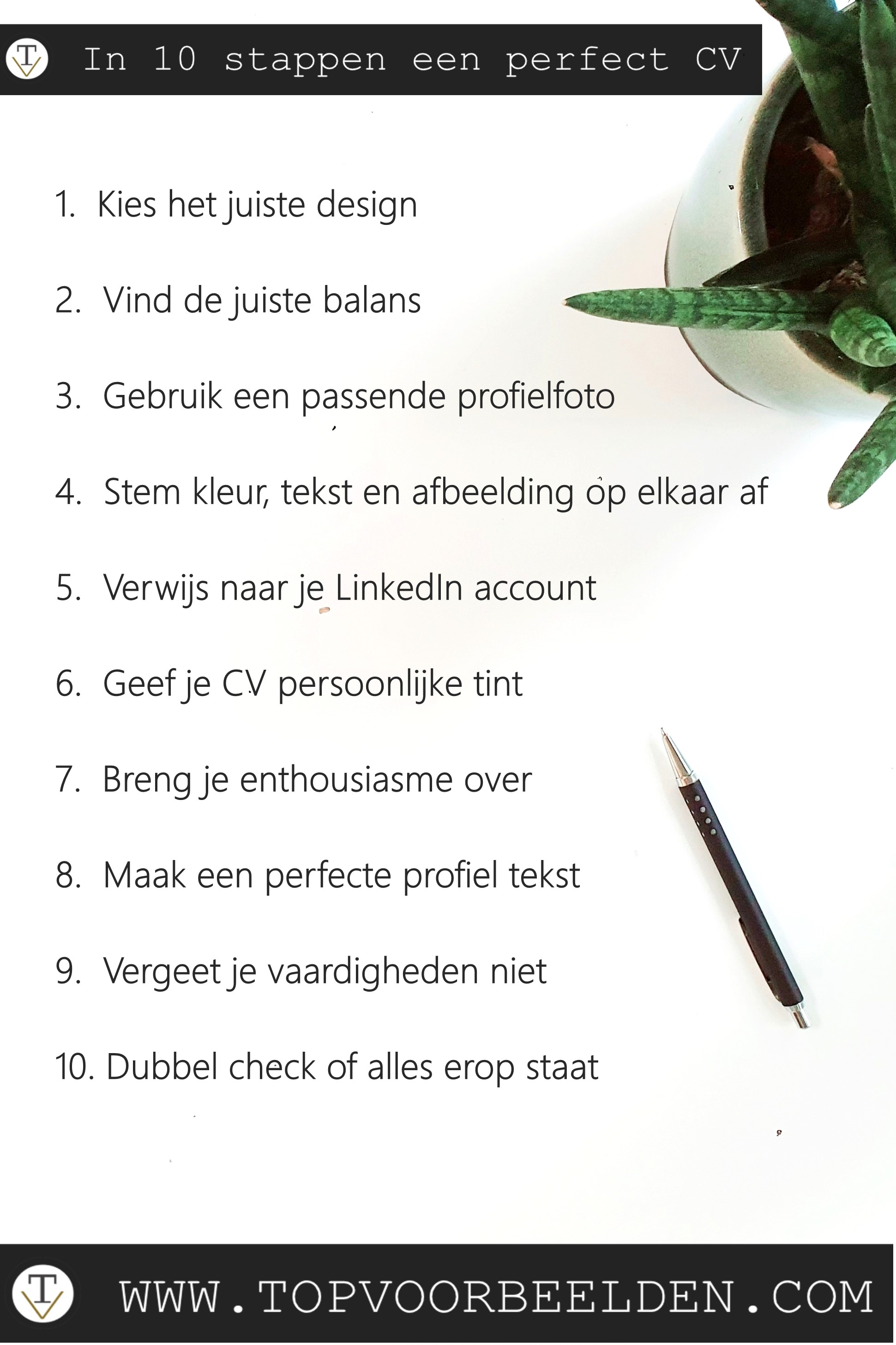 Perfect CV, Spring eruit tussen al de sollicitanten met een tip top verzorgd CV.