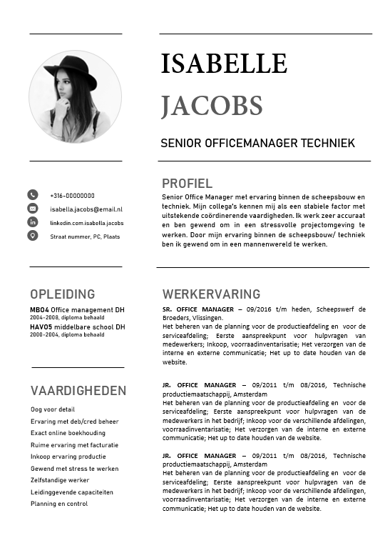 Alle CV's: Gratis CV voorbeeld