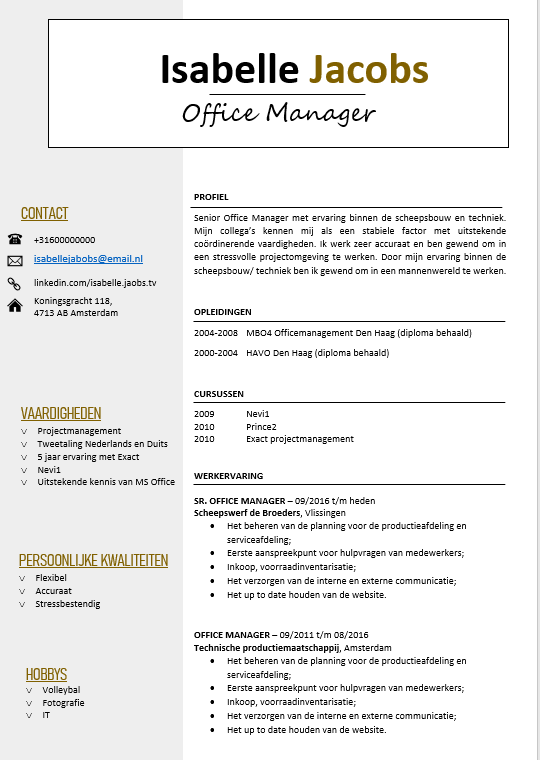 cv voorbeeld 2