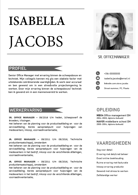 Cv Voorbeeld 21