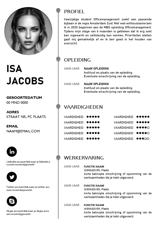 cv voorbeeld 25