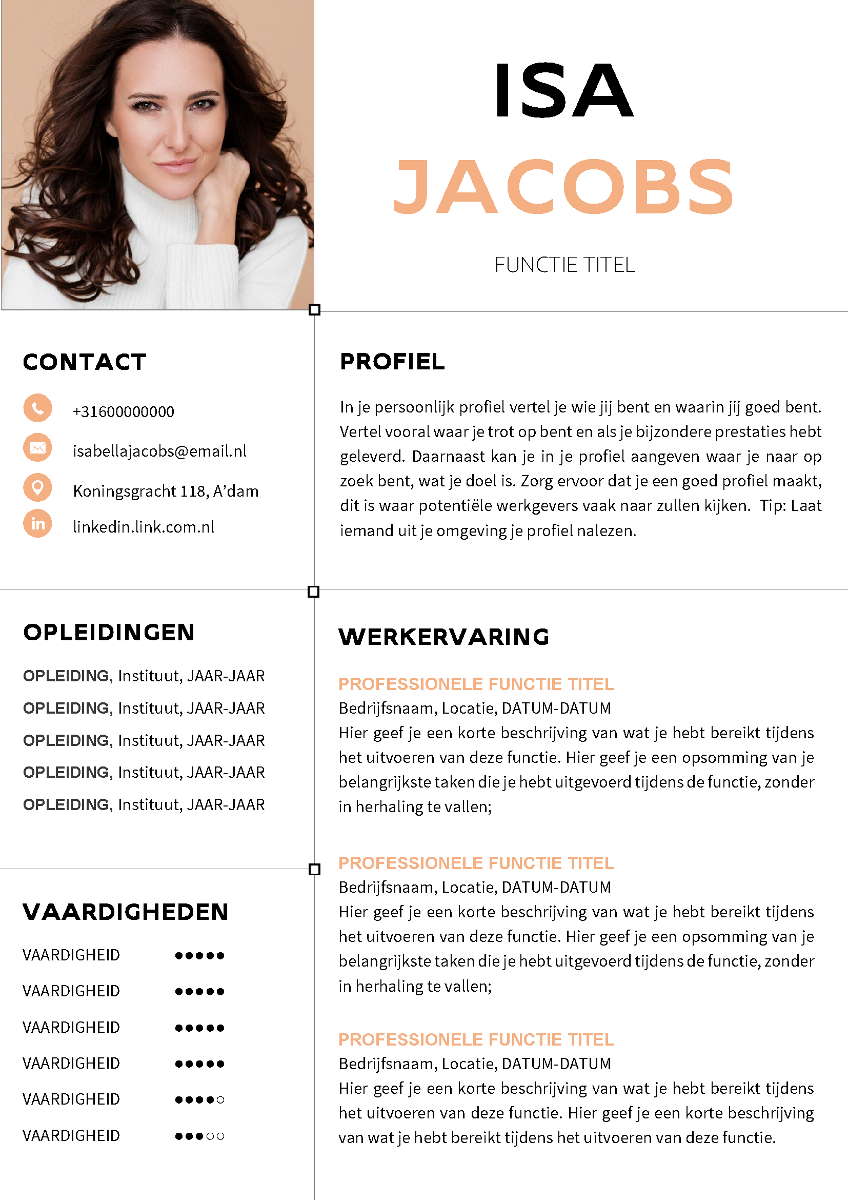 CV voorbeeld kleur