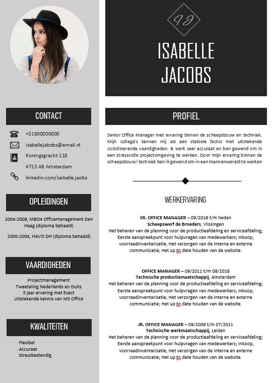 CV voorbeeld 6, elegant modern CV, gratis template in Microsoft Word