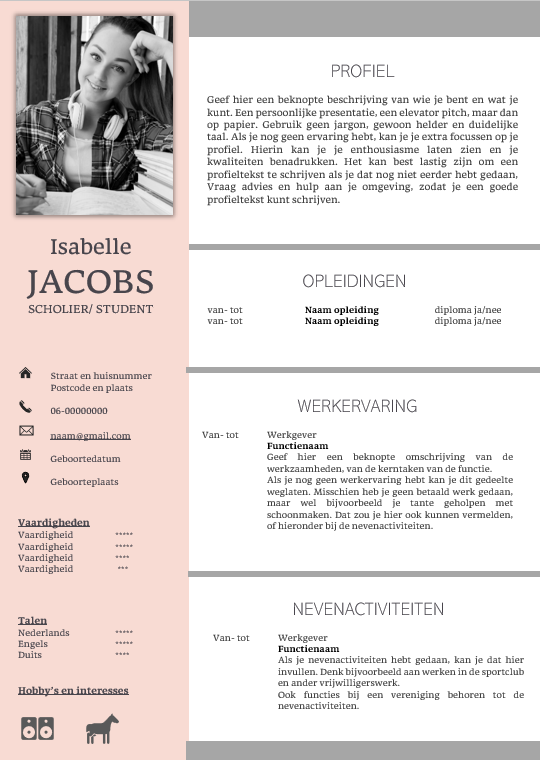 Cv Voorbeeld Student