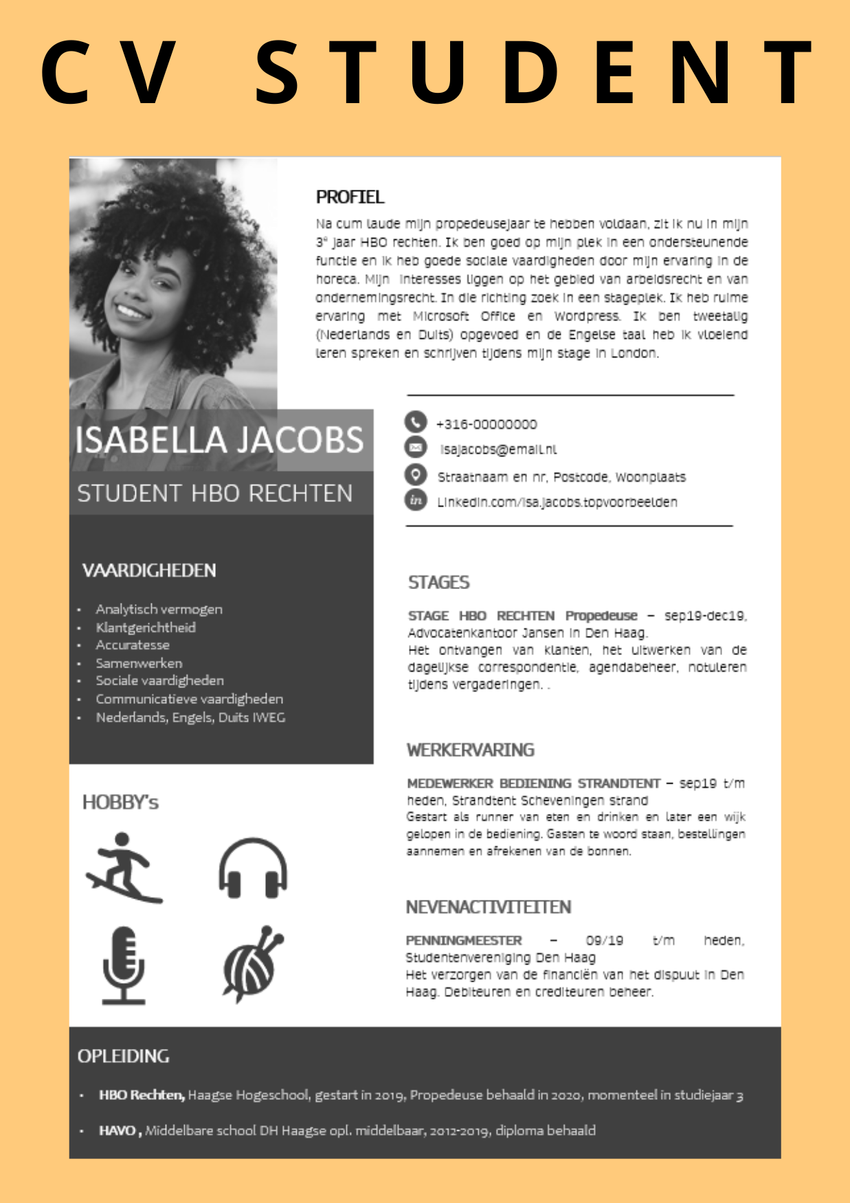 CV-voorbeeld-student-HBO