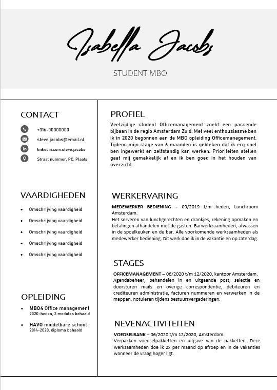 CV VOORBEELD TEMPLATE