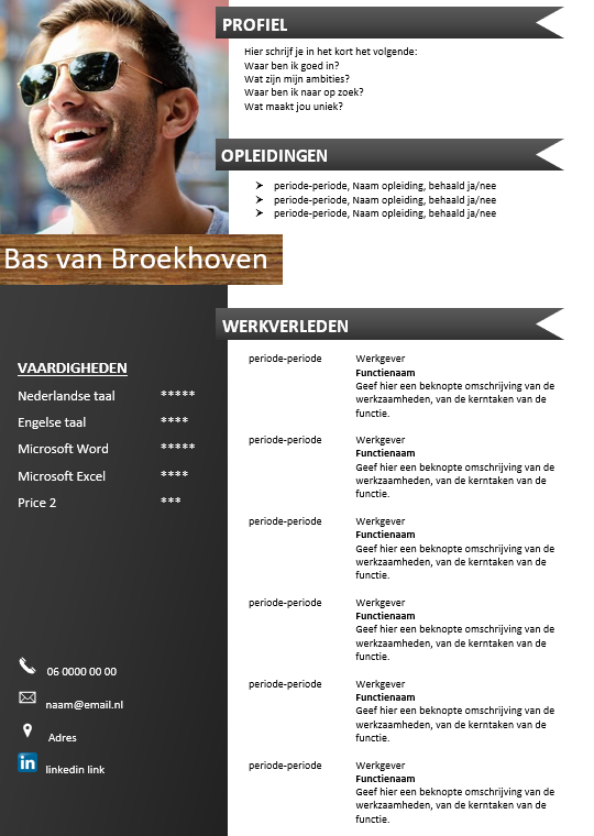 Welp Gratis CV template FZ-32