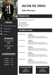 Gratis-CV-template-10kl