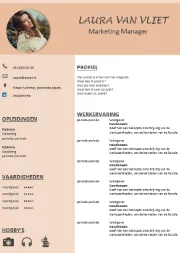 Gratis-CV-template13k