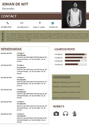 Gratis-CV-template14k