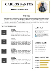 Gratis-CV-template15k