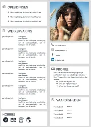 Gratis-CV-template16k