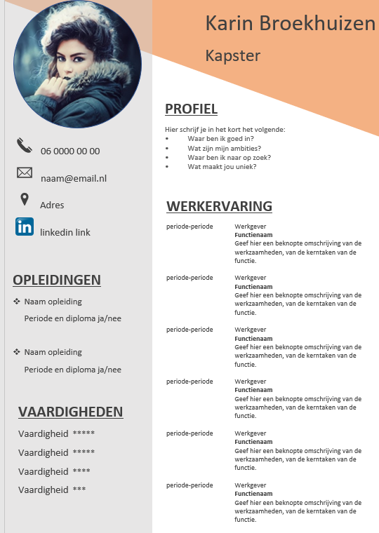 Gratis CV template - Professionele (Gratis) CV's in Word