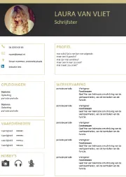 Gratis-CV-template11k