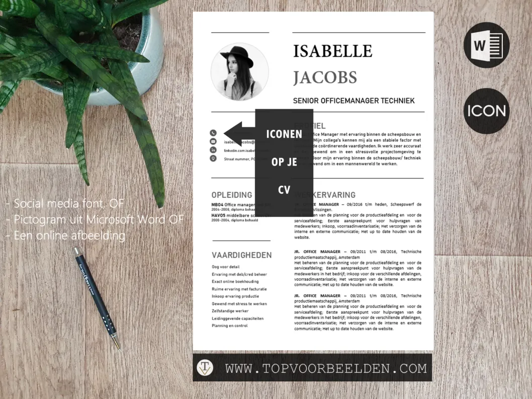 iconen-op-je-cv