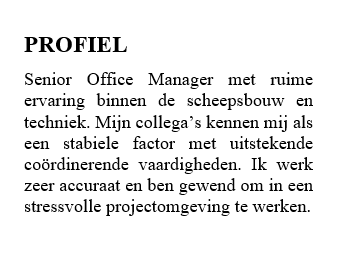 lettertype op je cv times lettertype op je cv times