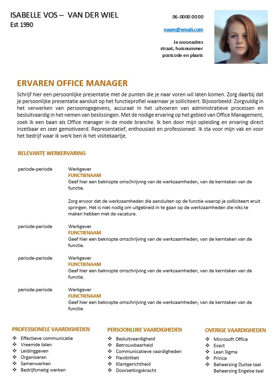 Modern cv template 5