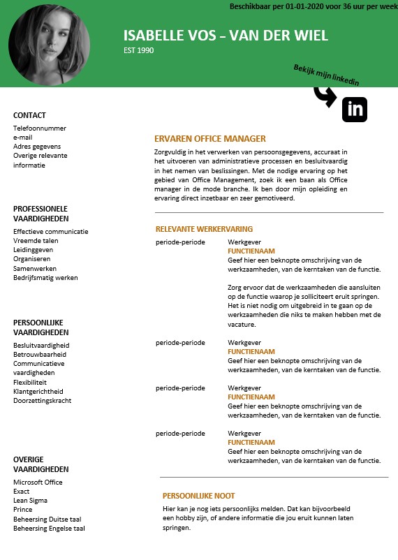 Modern cv template 6