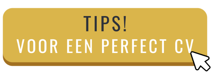 tips-cv-voorbeeld-button