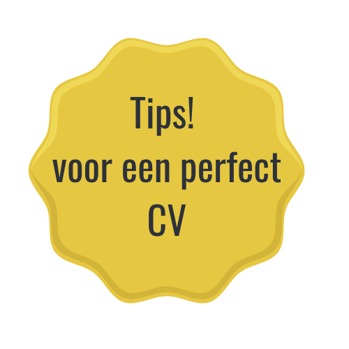 CV voorbeeld gratis templates | 45 (gratis) templates | update je cv snel en eenvoudig met onze gratis cv voorbeeld templates.  