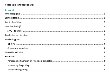 Format ondernemingsplan